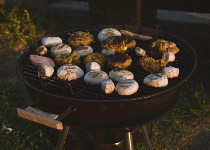 powerxl air fryer grill manual