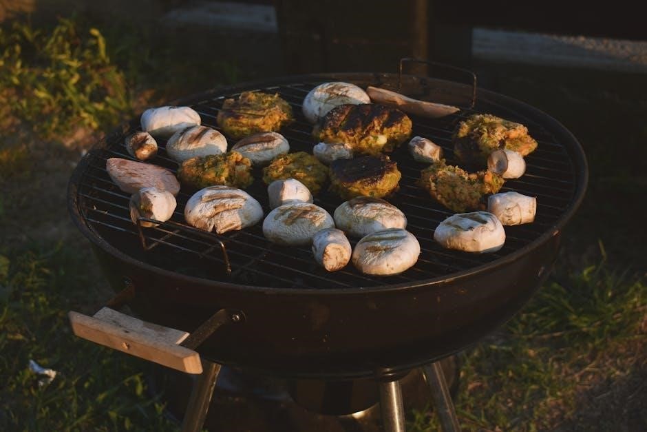 powerxl air fryer grill manual