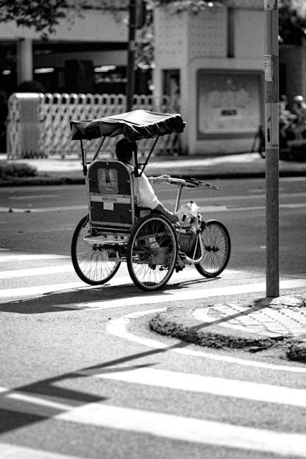 radio flyer 4 in 1 tricycle manual