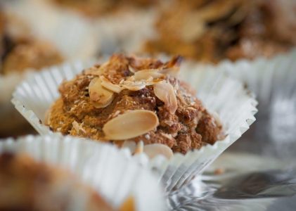 if you give a moose a muffin pdf free