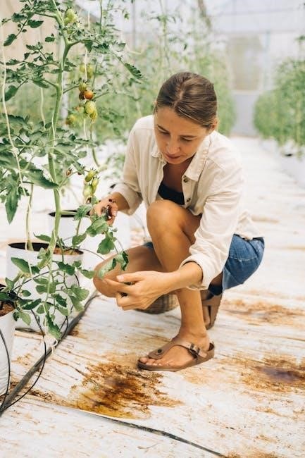 se qld vegetable planting guide