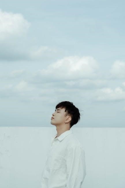 wowchef air fryer manual pdf free