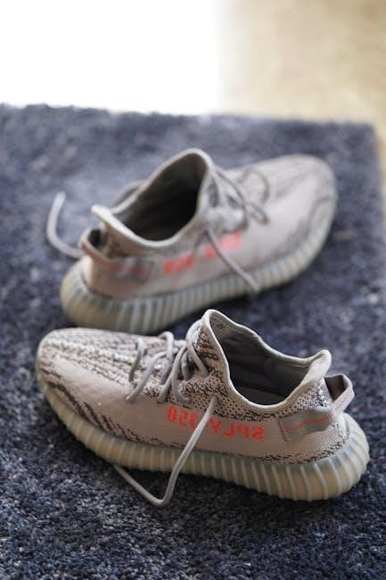 yeezy boost 350 v2 size guide